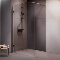 Душевая перегородка AM.PM Walk In 110х195 см W94WI-110-F1-BTE
