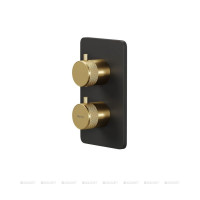 Термостат Allen Brau Priority V.2 Vernet 2 хода черный и золото 5.31213-31GB