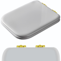 Комплект шарниров с микролифтом для сиденья Kerasan Waldorf 418701/418740 золото R108A16