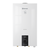 Газовая колонка Thermex Tion T 26 D 15956
