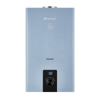 Газовая колонка Thermex Tion T 20 D Silver Grey 15957