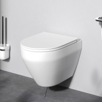 Унитаз подвесной AM.PM Spirit V2.0 FlashClean с сиденьем микролифт матовый C701700MWSC