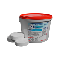 Медленный хлор в таблетках Wellness Therm ЭКОХЛОР 5 кг (200 г) 877475