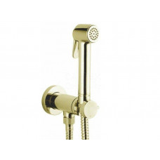Гигиенический душ Bossini Paloma Brass золото E37005B021