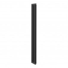 Радиатор трубчатый Royal Thermo Insignia C2180 4 секции RAL 9005m НС-1631201