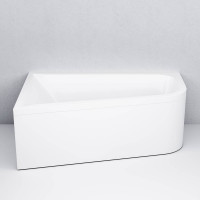 Панель фронтальная для ванны AM.PM Like 160х100 см универсальная W72A-160U100W-P2