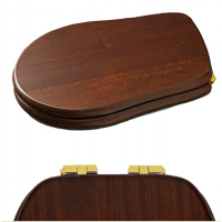 Комплект шарниров с микролифтом Kerasan Retro для сиденья 1087 золото R108A13